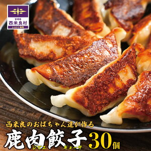 yӂ邳Ɣ[ŁzLq30 Lq WrG   v[g Mtg N  WrG S n Yi {茧 ėǑ  Mtg