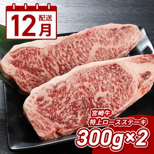 yӂ邳Ɣ[Łz12z{苍 ネ[XXe[L 600g(300g×2) - {茧Yјa Y [X r[tXe[L 1300g Xe[L {苍 A5/A4̂ꂩ 12 12͂ 