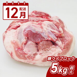 yӂ邳Ɣ[Łz12z{茧Y؃EfubN5kgI - Yؓ Ef ܂ 5L Ⓚ e ubN  傫 D݂ɃJbgł ͂炲ŃJbg 12