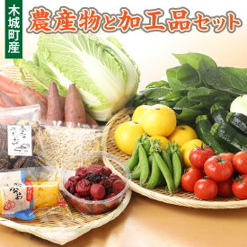 【ふるさと納税】木城町産農産物と加工品セット - 産地直送 野菜セット 旬の野菜6〜8品程度 季節の野菜 おまかせ お楽しみ 詰め合わせ 野菜宅配 例：ほうれん草/きゅうり/生姜/レタス/ごぼう/次郎柿/ドレッシングなど 送料無料【宮崎県木城町】