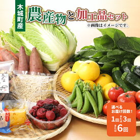 【ふるさと納税】木城町産農産物と加工品セット - 1回お届け/3回定期便/6回定期便 産地直送 野菜セット 旬の野菜6〜8品程度 季節の野菜 おまかせ お楽しみ 詰め合わせ 野菜宅配 例：ほうれん草/きゅうり/生姜/ごぼう/次郎柿/ドレッシングなど 送料無料【宮崎県木城町】