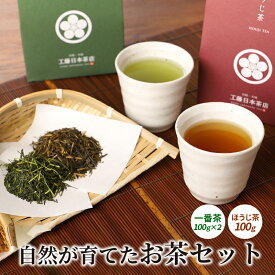 【ふるさと納税】自然が育てたお茶セット - 栽培期間中無農薬 お茶っ葉 一番茶2個 ほうじ茶1個 箱入り 普段使い 休憩に お茶の葉 ギフト さわやか 香ばしい 常温保存 茶葉 送料無料【宮崎県木城町】