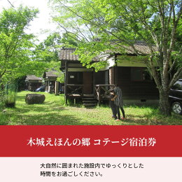 木城えほんの郷コテージ宿泊券