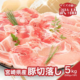 【ふるさと納税】【レビューキャンペーン対象】【訳あり】宮崎県産豚切落し 3kg/3.5kg/4kg/5kg 国産豚肉 切り落とし 形・大きさ サイズ不揃い 豚こま 冷凍 訳アリ 500gの小分け 生姜焼き 大容量 食品 家庭料理 送料無料 【宮崎県木城町】