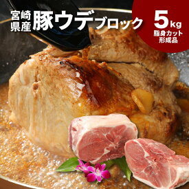 【ふるさと納税】宮崎県産豚ウデブロック5kg！脂身カット形成品【数量限定】 - 国産豚肉 豚ウデ肉 5キロ ブロック肉 かたまり肉 送料無料【宮崎県木城町】