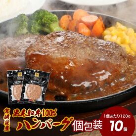 【ふるさと納税】宮崎県産黒毛和牛100％ハンバーグ10個 - 冷凍ハンバーグ 牛肉100％ハンバーグ 個包装 アレンジOK お弁当のおかず 1個120g ハンバーグ冷凍 国産ハンバーグ ソース無し 夜ご飯おかず 肉 加工品 お惣菜 お総菜 ハンバーグ冷凍 送料無料 【宮崎県木城町】