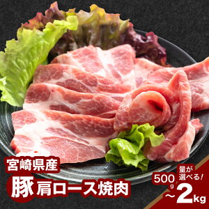 yӂ邳Ɣ[Łz{茧Y،[Xē - 500g/1kg/1.5kg/2kg [X 1pbN500g ؓ Ⓚ Ă ₫ɂ t̂ɕ֗ȃg[Ⓚ o[xL[ɂ̂܂܎Ă 
