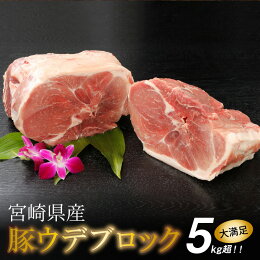 【ふるさと納税】<宮崎県産豚ウデブロック5kg超!>K16_0014送料無料【宮崎県木城町】