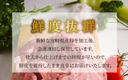 【ふるさと納税】<宮崎県産豚ウデブロック5kg超!>K16_0014送料無料【宮崎県木城町】