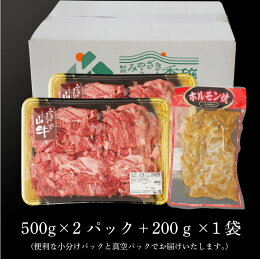 【ふるさと納税】きじょん山ブランド<宮崎県産黒毛和牛「笹ビーフ」切落し1,000g+豚味付けホルモン200g>K16_0030送料無料【宮崎県木城町】