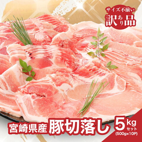 【ふるさと納税】【訳あり】宮崎県産豚切落し5kg(500g...