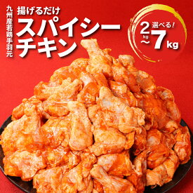 【ふるさと納税】訳あり！九州産若鶏手羽元 揚げるだけスパイシーチキン - 不揃い 国産鶏肉 発送時期が選べる 内容量を選べる 小分け 真空パック 味付け肉 冷凍 訳アリ 規格外 チキンスパイス ご家庭用 ファミリー フライドチキン わけあり 送料無料 【宮崎県木城町】