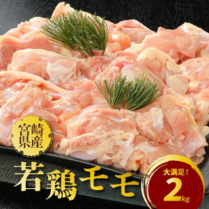 yӂ邳Ɣ[Łz{茧Y{2kg - {  ^pbN Ⓚ g/`L/}OςȂǂ̉ƒ뗿 Y {茧Y Ƃ {  y{茧؏钬z