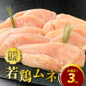 yӂ邳Ɣ[Łz{茧Y{l3kg - {ނ˓ wV[ Y{ {茧Y{ O^~_ CmV_  Ⓚ {ɔׂĒJ[E^pN l ^pbN