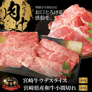 yӂ邳Ɣ[Łz{苍EfXCX400gƋ{茧YaԐ؂100g - {苍XCX Yјa EfXCX {苍Ԃ/{苍Ă Ԑg 2lO/3lO uh A4/A5 