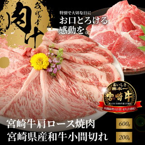 yӂ邳Ɣ[Łz{苍[Xē600gƋ{茧YaԐ؂200g - Y ĂpJbg ~`N Lׂ肵 Lȕ Jbgς 2lO/3lO Ⓚ {苍