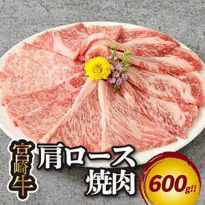 yӂ邳Ɣ[Łz{苍[Xē600g - Ă ē  {苍ē Yјa [X ēpJbg Zbg Ⓚ A5N A4N   zbgv[g ē {茧