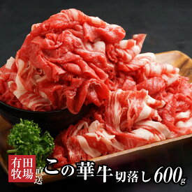 【ふるさと納税】有田牧場直送 この華牛切落し 600g - 切り落とし 赤身が美味しい EMO牛(エモー牛) 牛肉 有田牧畜産業オリジナルブランド牛 肩ロース/肩/モモ肉/バラ肉を使用した切り落とし 冷凍 ヘルシー 送料無料【宮崎県木城町】