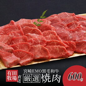 【ふるさと納税】木城ブランチ 木城白木八重牧場育ちの黒毛和牛厳選焼肉 600g - 牛飼一筋 有田牛 牛肉 焼き肉用 赤身肉 エモー牛 あっさりとした黒毛和牛 赤身のうま味 冷凍 送料無料 【宮崎県木城町】