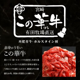 【ふるさと納税】<有田牧場直送この華牛切落したっぷり1kg>K20_0002送料無料【宮崎県木城町】