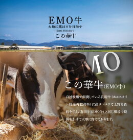 【ふるさと納税】<有田牧場直送この華牛切落したっぷり1kg>K20_0002送料無料【宮崎県木城町】