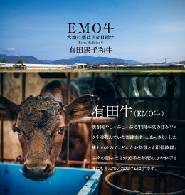 【ふるさと納税】<黒毛和牛高級部位シャトーブリアンヒレステーキ1kg(200g×5枚)>K20_0015送料無料【宮崎県木城町】