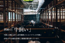 【ふるさと納税】<有田牧場直送この華牛切落したっぷり1kg>K20_0002送料無料【宮崎県木城町】