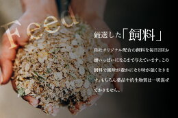 【ふるさと納税】<有田牧場直送この華牛切落したっぷり1kg>K20_0002送料無料【宮崎県木城町】