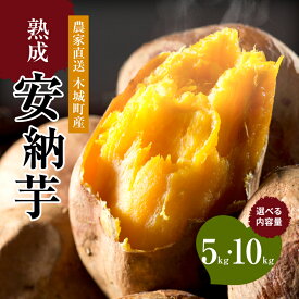 【ふるさと納税】農家直送！木城町産 熟成安納芋 内容量選べる 5kg 10kg - さつまいも お芋 いも 安納いも さつま芋 おいも 蜜いも 旬 秋の味覚 お菓子 ヘルシー おやつ 食物繊維 土付き 野菜 サツマイモ 送料無料 【宮崎県木城町】