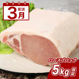 【ふるさと納税】3月配送★宮崎県産豚ロースブロック 5kg越え - 国産豚肉 トンテキ/豚の角煮/トンカツ/ポークソテー ブロック肉 塊肉 5キロ かたまり肉 ロース肉 小分け キメが細かく柔らかな肉質 赤身 脂身 3月発送 3月お届け 送料無料 【宮崎県木城町】