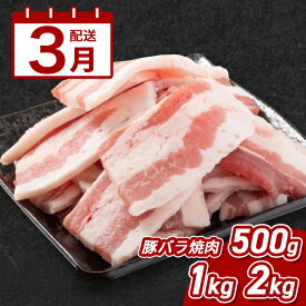 【ふるさと納税】3月配送★宮崎県産豚バラ焼肉 - お試し500g/1kg/2kg 豚肉 焼き肉用 豚バラ肉 脂身が美味しい 豚ばら 1パック500g 味付けしやすいトレー冷凍 バーベキュー・アウトドアにそのまま持っていける 送料無料 【宮崎県木城町】