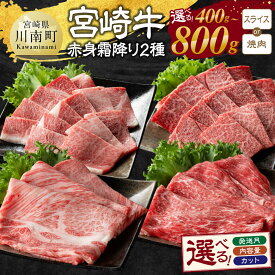 【ふるさと納税】※内容量・カット・発送月が選べる※宮崎牛赤身(ウデorモモ)霜降り2種 - 肉 牛肉 国産 宮崎県産 黒毛和牛 和牛 焼肉 焼き肉 4等級 A4ランク うで モモ 肩ロース ロース D11123 E11124 D11122 E11123