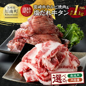 yӂ邳Ɣ[Łz eʁEIׂ遦y󂠂z {苍Jrēꋍ^ -   {苍 Jr ^   t  Ă ȒP E11148 E11149