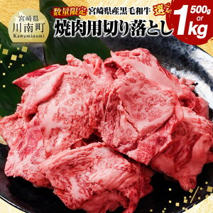 �y�ӂ邳�Ɣ[�Łz�����e�ʂ��I�ׂ遦�{�茧�Y���јa���ē��p�؂藎�Ƃ� - ���� ���Y �{�茧�Y �{�苍 BBQ D11304 D11303