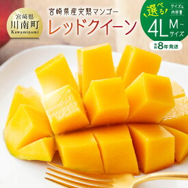 【ふるさと納税】※内容量が選べる※【令和8年発送】宮崎県産完熟マンゴー　「レッドクイーン」Lサイズ～4Lサイズ - 先行予約 果物 フルーツ マンゴー 宮崎県産 完熟マンゴー みやざきマンゴー 数量限定 期間限定