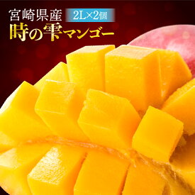 【ふるさと納税】※2020年発送分※「時の雫マンゴー」2Lサイズ2個入り