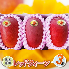 【ふるさと納税】レッドクイーンマンゴー3玉（合計1kg以上）