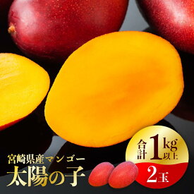 【ふるさと納税】※2020年発送※完熟マンゴー「太陽の子」2玉(1玉：530g〜550g)