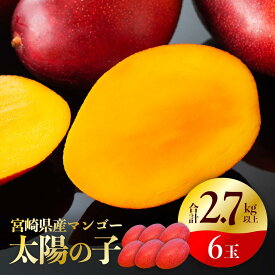 【ふるさと納税】※2020年発送※完熟マンゴー「太陽の子」6玉(1玉：450g以上)