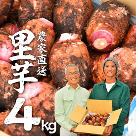楽天市場 里芋 セレベスの通販 楽天市場 里芋 セレベスの通販