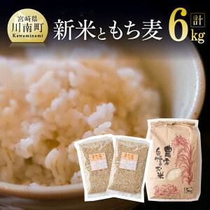 yӂ邳Ɣ[Łz r[Ly[ ߘa7NY@{茧Y@5kg(Ă̏΂)&500g×2 - Y BY {茧Y 쒬Y   V   Zbg ēɂ ނ