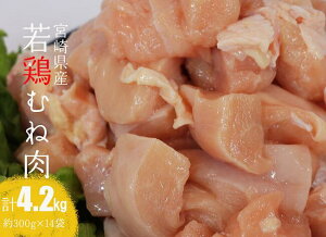 yӂ邳Ɣ[Łzr[Ly[{茧Y{ނ˓4.2kg - { ނ˓   {n `L Y BY {茧Y wV[  E7203
