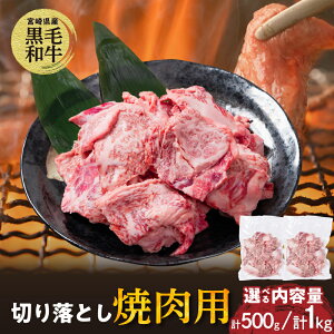 yӂ邳Ɣ[Łzy2TԈȓzIׂe {茧Y јa ؂藎Ƃ ēp Hi   Y ē Ă o[xL[ BBQ AEghA ӂ ύݗ J ґ 