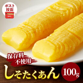 【ふるさと納税】リピーター続出！＼ポスト投函／ パリッと食感 しそたくあん 100g 1500円 沢庵 しそ風味 つけもの 漬物 おかず 野菜 加工品 国産 食品 お弁当 惣菜 おつまみ お買い物マラソン 買い回り スーパーSALE 宮崎県産 都農町 送料無料