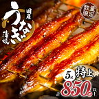 《レビューキャンペーン》 数量限定 うなぎ 蒲焼 5尾 さんしょう たれ付き 計850g以上 国産 ひつまぶし うな重 お茶漬け 食品 人気 おすすめ 長焼 化粧箱 贈り物 小分け 真空パック 簡単調理 鰻楽 ギフト お土産 丑の日 お取り寄せ 宮崎県 都農町 送料無料