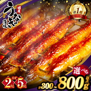 yӂ邳Ɣ[ŁzyeʂIׂz Ȃ  (񂵂傤Et) 2 or 5 yV Y unagi EiM { N̓ ȏd Ȃ Ђ܂Ԃ   ^pbN 