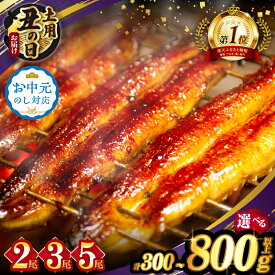 【ふるさと納税】総合1位獲得！2週間以内発送！【楽天限定】≪お中元のし対応≫≪選べる！！内容量・発送時期・定期便≫ うなぎ 蒲焼 2尾 300g 380g or3尾 600g or 5尾 800g 丑の日 定期便 国産 宮崎 鰻 うな重 うなぎ長焼 小分け 真空パック 鰻楽 ギフト 人気 贈り物 都農町
