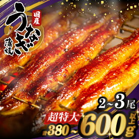 【ふるさと納税】≪選べる内容量≫ うなぎ 蒲焼 さんしょう たれ付き 2尾 or 3尾 丑の日 ひつまぶし うな重 国産 鰻 高評価 贈り物 ギフト 贈答 ご褒美 うなぎ長焼 unagi 鰻楽 小分け 真空パック 簡単調理 リピーター続出 宮崎県 都農町 送料無料 レビューキャンペーン