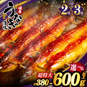 yӂ邳Ɣ[ŁzIׂeʁ Ȃ  񂵂傤 t 2 or 3 N̓ Ђ܂Ԃ ȏd Y V ] 蕨 Mtg  J Ȃ unagi Vy  ^pbN
