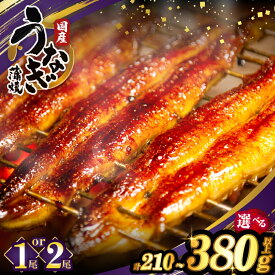 【ふるさと納税】≪内容量・発送時期が選べる≫ うなぎ 蒲焼 1尾 or 2尾 定期便 国産 ウナギ unagi 宮崎 丑の日 うな重 長焼 ひつまぶし 冬うなぎ 小分け 個包装 真空パック 人気 鰻楽 ギフト 贈り物 贈答 お歳暮 リピーター続出 都農町 送料無料